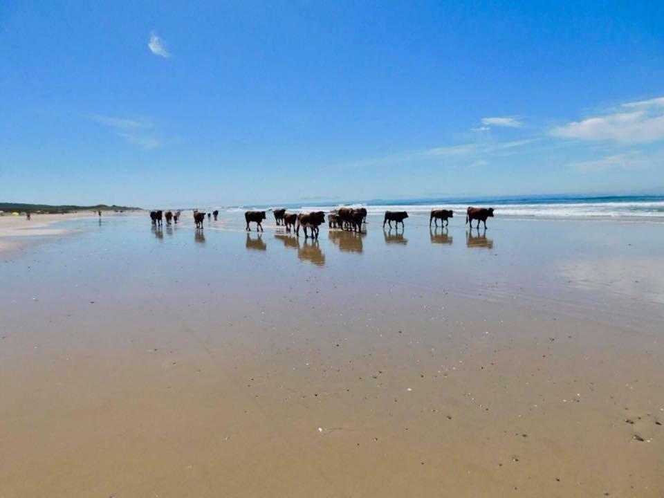 Casa Zaal Villa Vejer de la Frontera Bagian luar foto